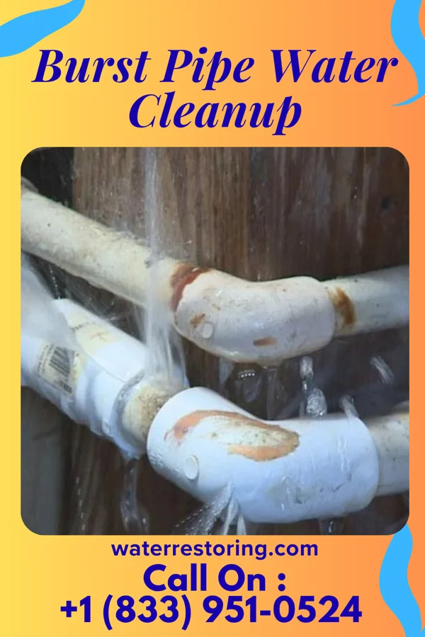 Burst Pipe Water Cleanup in Coal Hill, AR