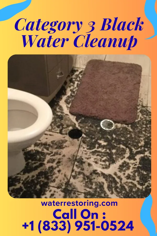 Category 3 Black Water Cleanup in Coal Hill, AR