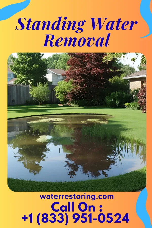 Standing Water Removal in Coal Hill, AR